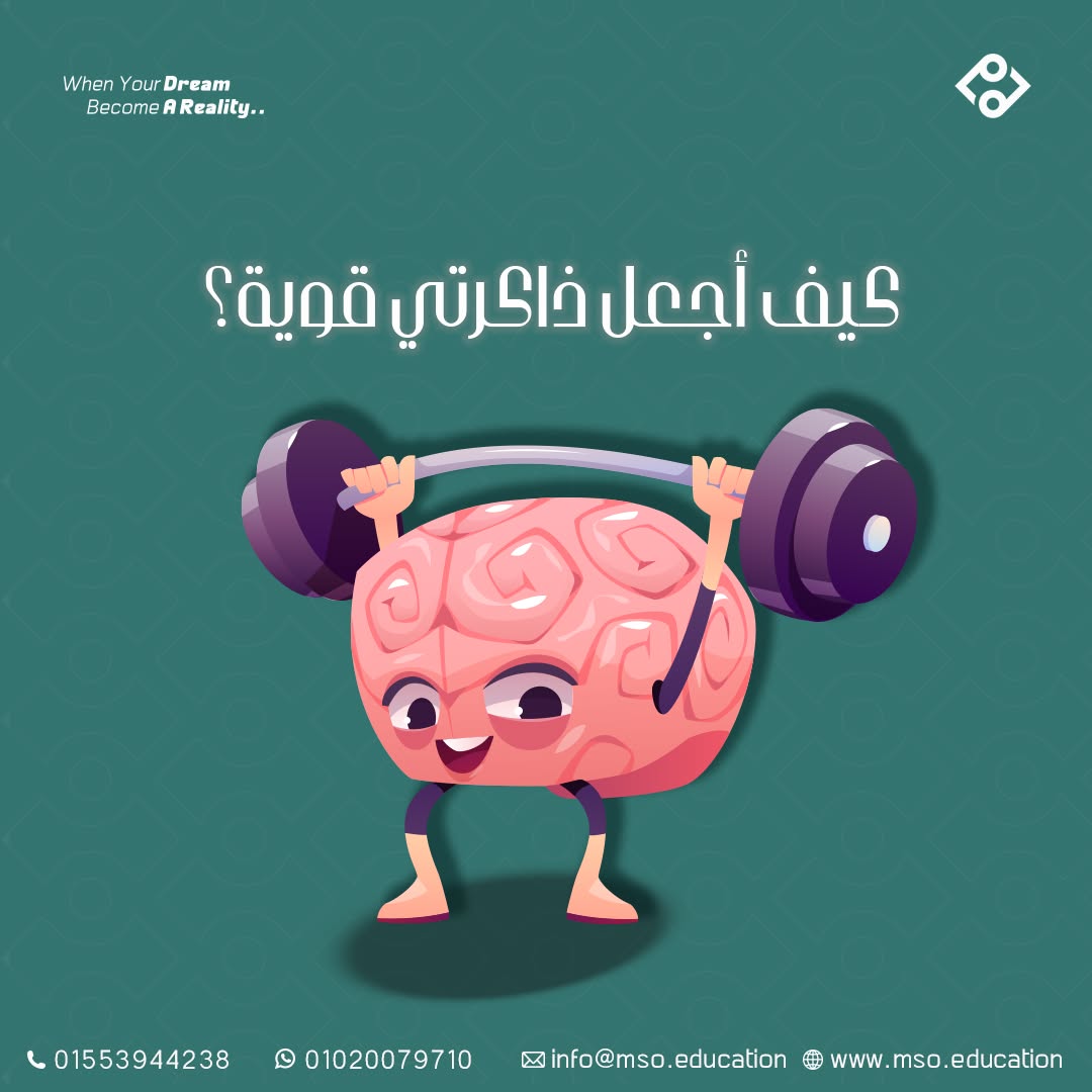ترسيخ الخبرة والريادة (Thought Leadership)