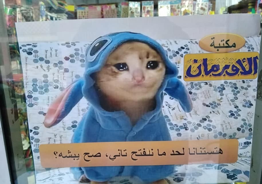 الميم ماركتنج وصناعة الانتشار الفيروسي